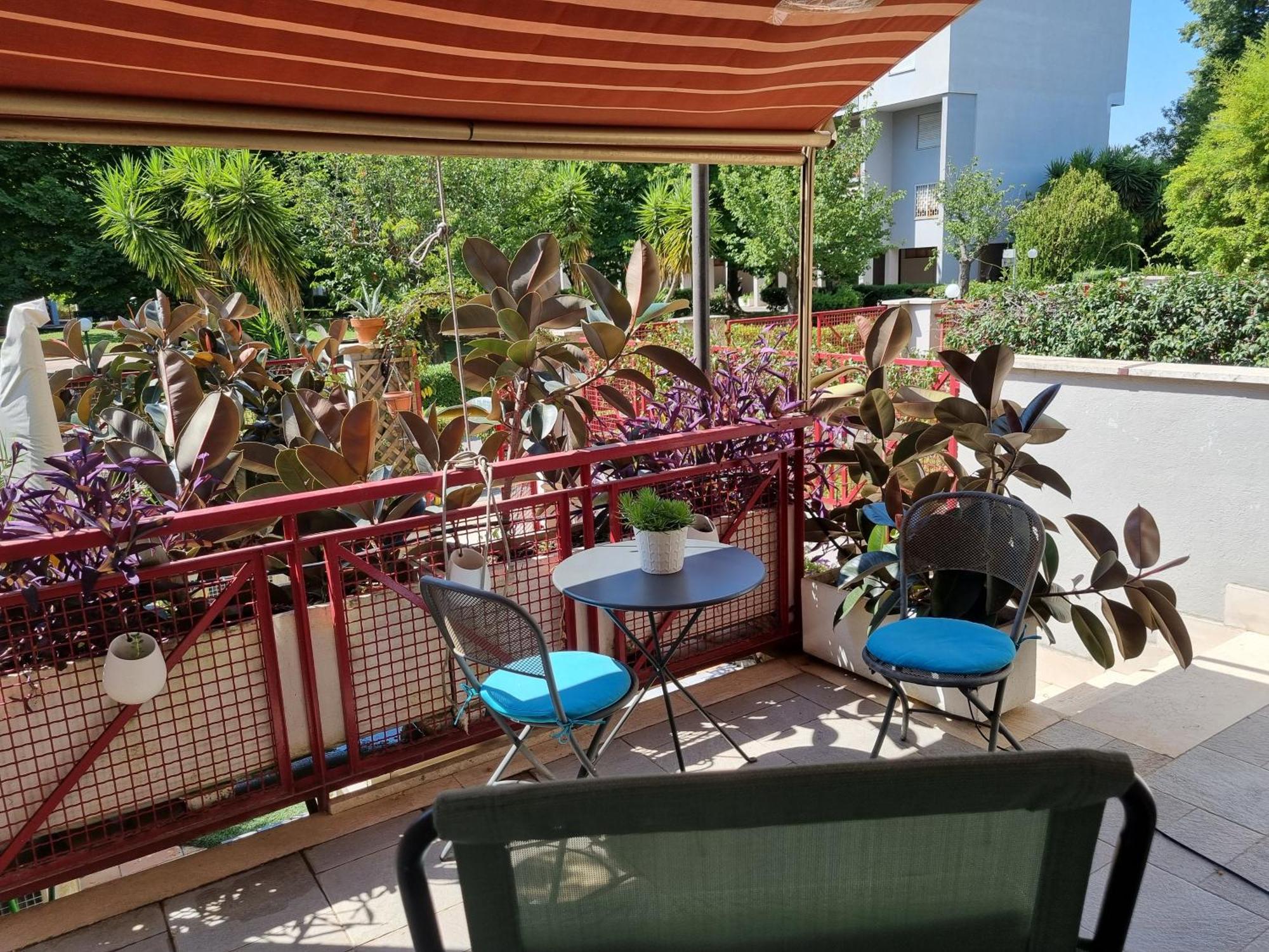 Intero Appartamento Con Giardino E Parcheggio Roma Ngoại thất bức ảnh